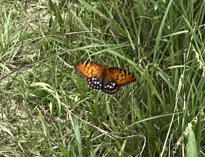 For both day hikes and overnight camping, check out these three: (1) Big Sioux Recreation Area in Brandon;