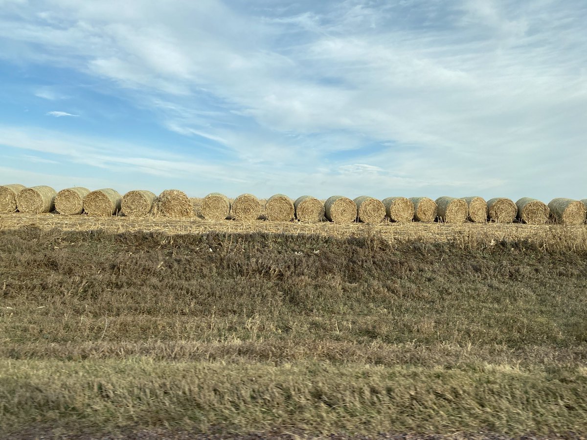 and Newton Hills Park in Canton. All three have great trails, wildlife. Newton Hills has trails specifically designated for horses and mountain bikes, in addition to footpaths.