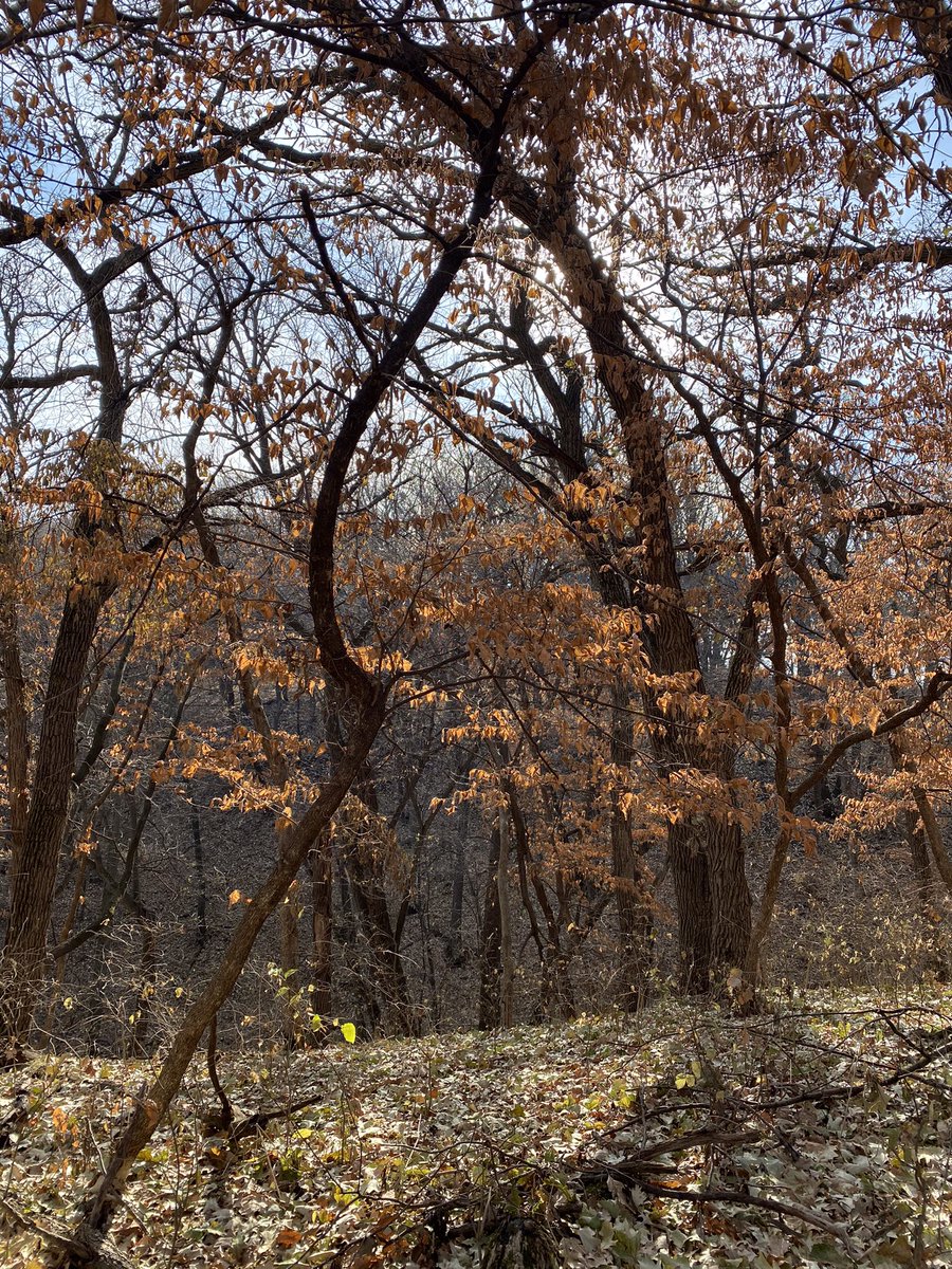 and Newton Hills Park in Canton. All three have great trails, wildlife. Newton Hills has trails specifically designated for horses and mountain bikes, in addition to footpaths.