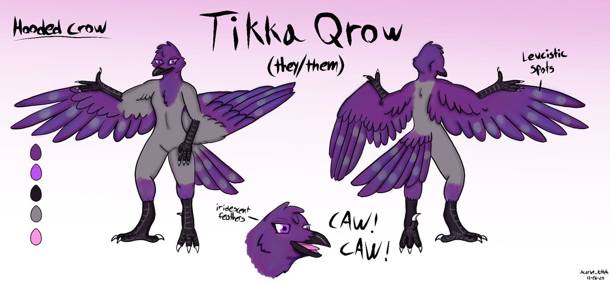 TikkaQrow's tweet image. Ref sheet for Tikka.
Winged kenku capable of flight.
Iridescent plumage that varies from jet black to vivid violet depending on angle, intensity, and temperature of light.
Leucism a partial loss of pigmentation, causing patchily colored feathers.