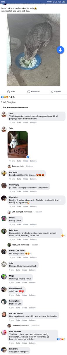 AREA JULID tweet media