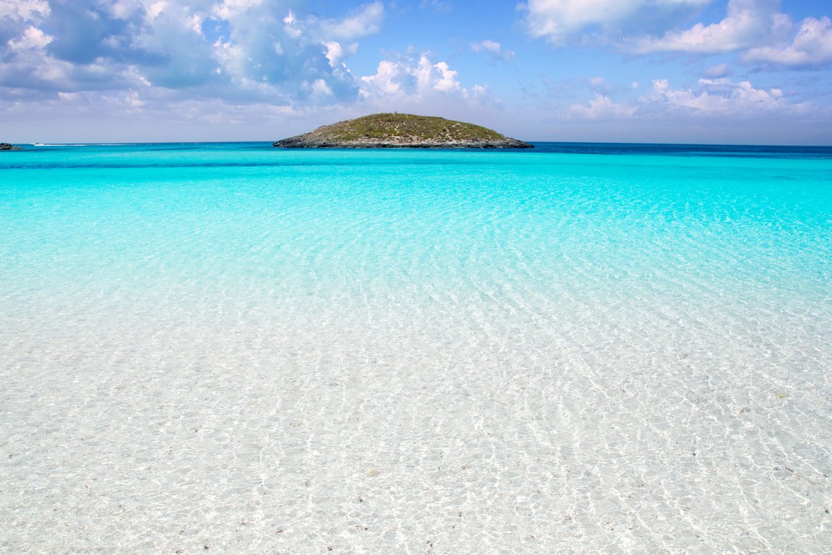 DecodeFor's tweet image. formentera 2021 - eepurl.com/hmSaBr