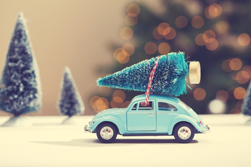 jeffbullas's tweet photo. How to Increase Your Authority with Evergreen Content #contentmarketing https://t.co/nsI1WJpRPB https://t.co/hGel4ClBRZ