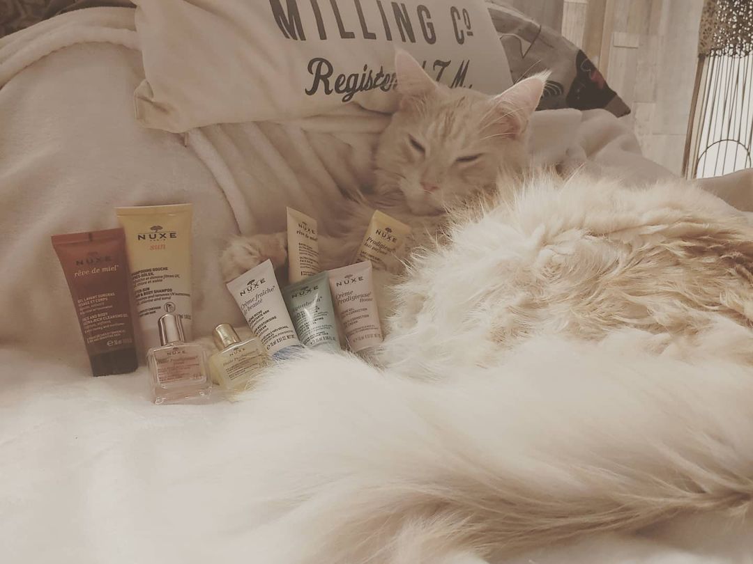 Admiring all of our NUXE goodies and trying to work out what day of the week it is, is our current (we think 🤔) Tuesday Mood! 

📷 alealeksandra40
