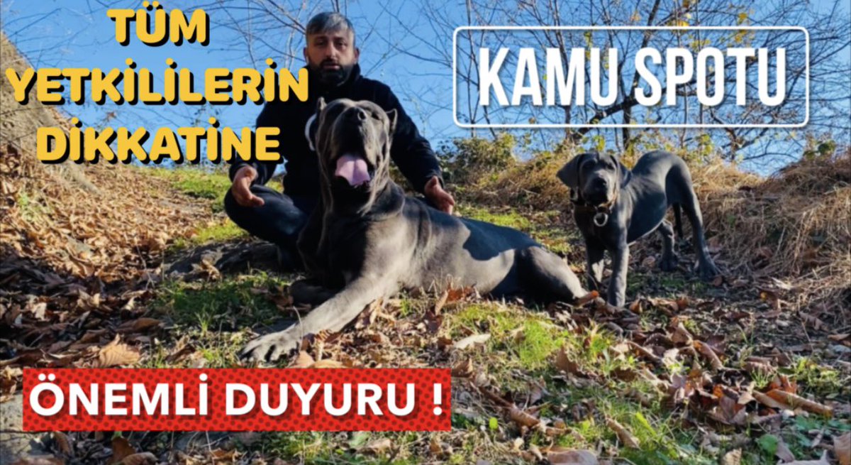 HAYVANLARI KORUMAK ONLARI BARINAĞA TIKMAK DEMEKMİ ? youtu.be/AJUS-ucKXN0 <a href="/YouTube/">YouTube</a> aracılığıyla
<a href="/suleymansoylu/">Süleyman Soylu</a> <a href="/TCTarim/">T.C. Tarım ve Orman Bakanlığı</a> <a href="/DKMP1Bolge/">DoğaKorumaMilliParklar 1.Bölge</a> <a href="/dkm_dogakoruma/">Doğa Koruma Merkezi</a>