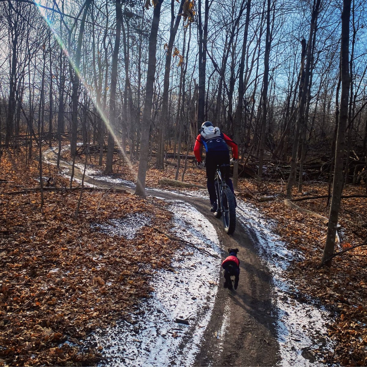 Trail dogs are a mountain biker's best friend!