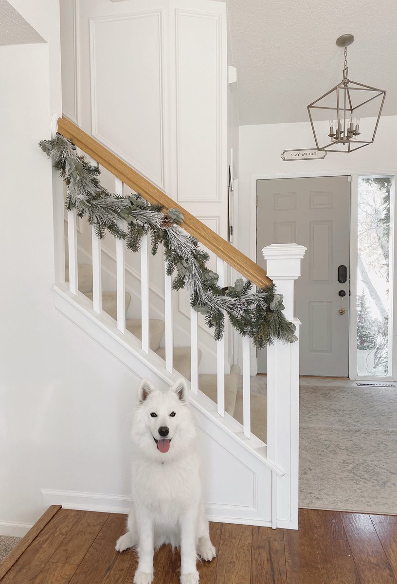 tradefareonline's tweet photo. Sure was fun decorating some of my DIY’s from this year! I added box trim up both sides of the stairs hallway &amp; it’s one of my most favorite projects ever...after it was done that is😄 not fun figuring out the angles!! #boxtrim https://t.co/ehblu0bWrU