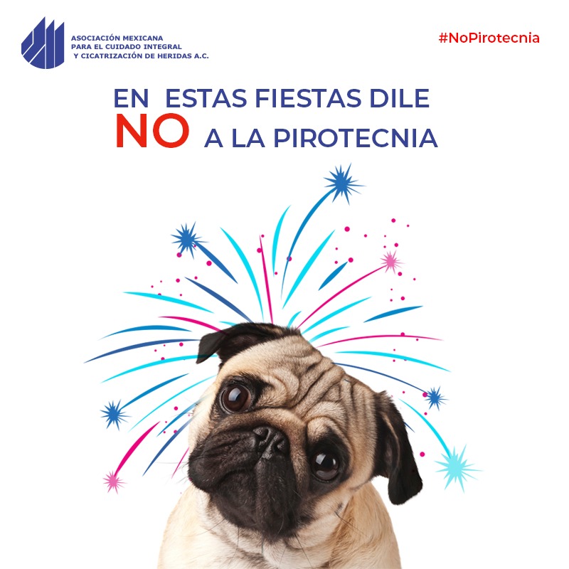 ¡Se acerca #AnoNuevo! Celebra sin pirotecnia.
#NoPirotecnia