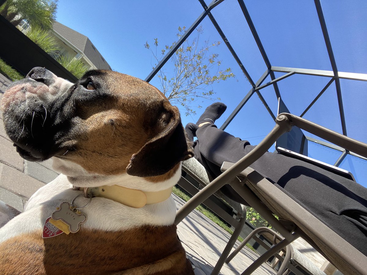 StephanieSuChin's tweet photo. Me and my outdoor office buddy 😍
#boxermom #boxer #boxerlove #workingremotely #sunhog #goodvibes #awakening #innerpeace #enlightenment #stephaniechin #soul #peace #loveandlight #selflove #meditation #womenentrepreneur #positivity #mindfulness https://t.co/ynkoqsu6qI
