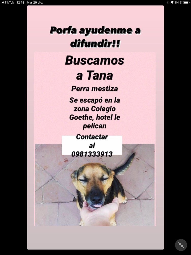 Porfa ayúdenme con un RT🙏🏽 🐶