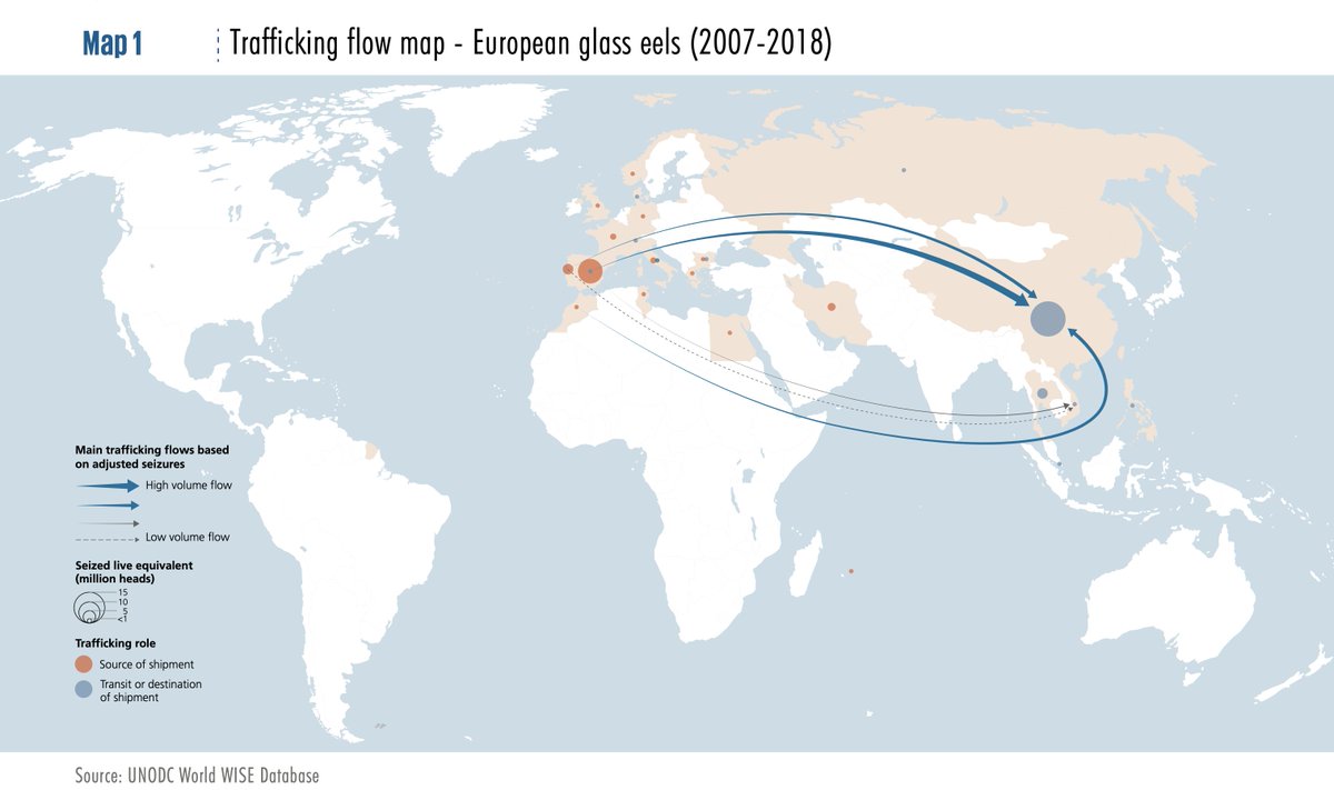 I'm deleting my earlier tweet. I was wrong.This document is about the illegal shipment of eels. Their export is still banned. https://unodc.org/documents/data-and-analysis/wildlife/2020/WWLC20_Chapter_7_Eels.pdf