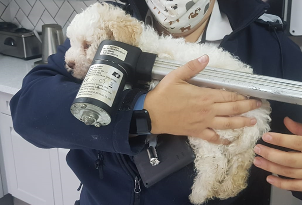 HantsIOW_fire's tweet photo. ποΈ| This afternoon's #YearInTweets is October!
π We celebrated #InternationalControlRoomWeek
π₯ A derelict #Droxford hotel was destroyed in a fire
πΆ A Cavapoo puppy got tangled in a recliner
πͺ Our #TrainLikeAFirefighter videos came out
Read more > https://t.co/KincX0U7WW https://t.co/1HbQBy6HiP