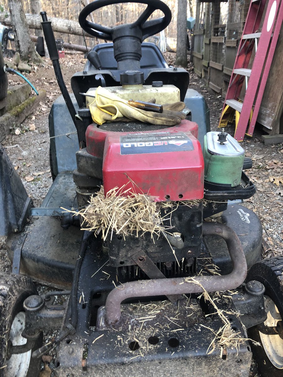 k9kayaks's tweet photo. Another #WinterChore cleaning out the mouse nest from around the lawnmower engine. Last year I forgot and the nest was burning on the engine https://t.co/SgZG6ln2FI