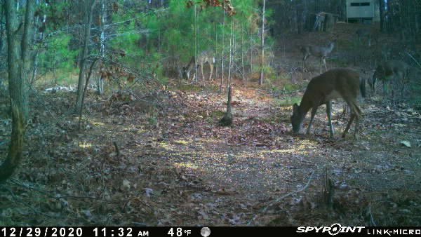 Hunter Safety System tweet media