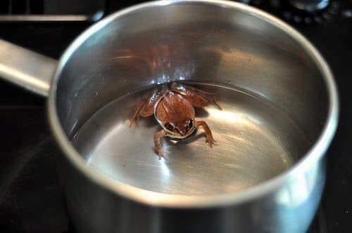 Put a frog into a vessel fill with water and start heating the water. As the temperature of the water begins to rise, the frog adjust its body temperature accordingly. The frog keeps adjusting its body temperature with the increasing temperature of the water.