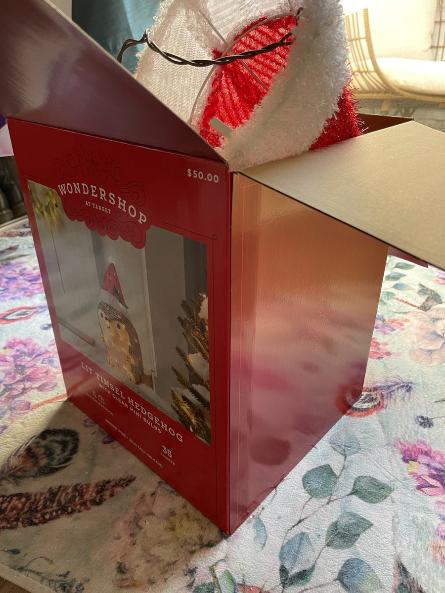 AngelPayneWrtr's tweet image. HALP!! My Target tinsel light-up hedgehog doesn’t want Christmas to be over yet! Anyone know how to get one of these little boys, plus his hat, back in the box??? He’s so cute, and I want him back for next year. LOL.  #Crazyproblems #HedgehogLove #Whatthefrack ⁦@Target⁩