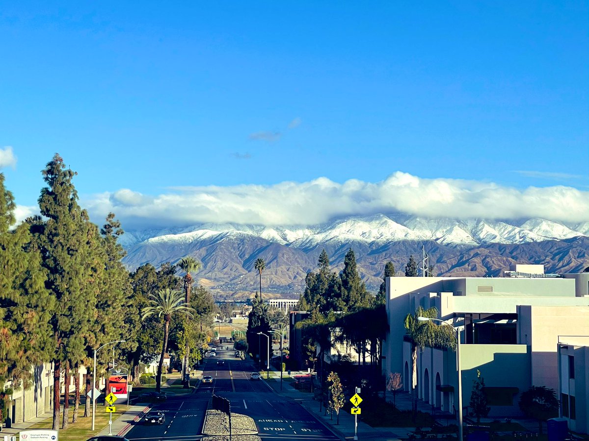 SaynaNorouzi's tweet image. This is the view from my office (I wish lol) 😁😅 #snowday just in time #CleanandBright #medtwittter #nephtwitter