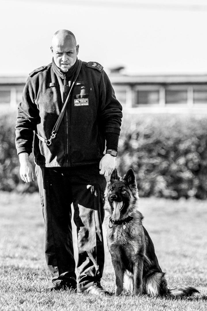 Having been run over whilst attempting to stop a stolen vehicle, and almost losing their foot, a close friend returned to work and passed their dog handlers course, TPD Rose passed her course too   @MetTaskforce  #Heroes