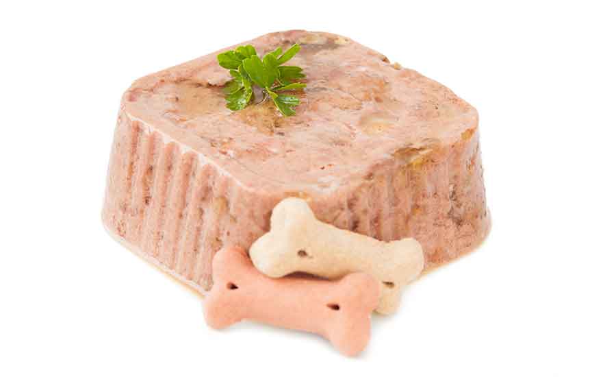 RandFF's tweet image. In our December issue we round up some of the latest pet food innovations from @HiperbaricHPP #Dynatrol #FortressTechnology @thegeagroup 
#petfood #refrigeratedfoods #coldchain #hpp #highpressureprocessing
refrigeratedfrozenfood.com/articles/99819…