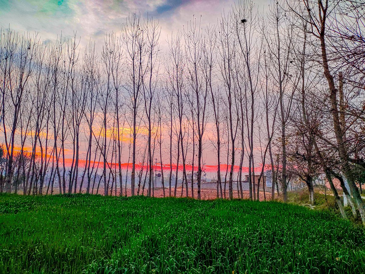 ShahHassan25048's tweet photo. ~Every sunset is an opportunity to reset.

#sunset #sunsetphotography #sky #skyblue  #skyshades #skylovers #skyphotography #skycolors  #ig_features_ #igpakistan #creative_pakistan #snapseedpk #lightroompk #pakistanzindabad #pakistan #islamic_republic_of_pakistan https://t.co/5nsr6nIWvs
