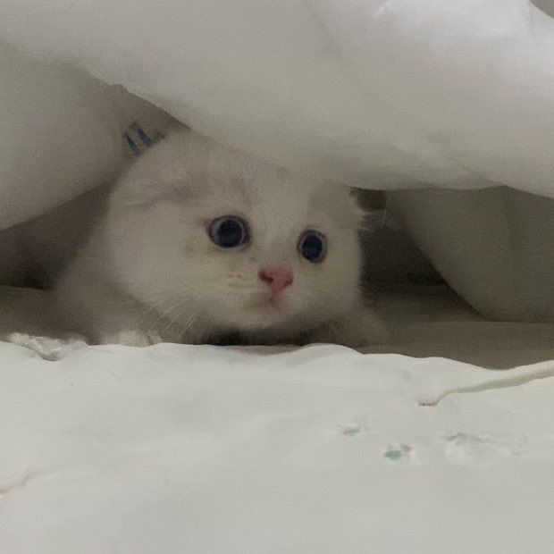 โควิดเข้าไทยแรกๆ ยังตัวแค่นี้อยู่เลย