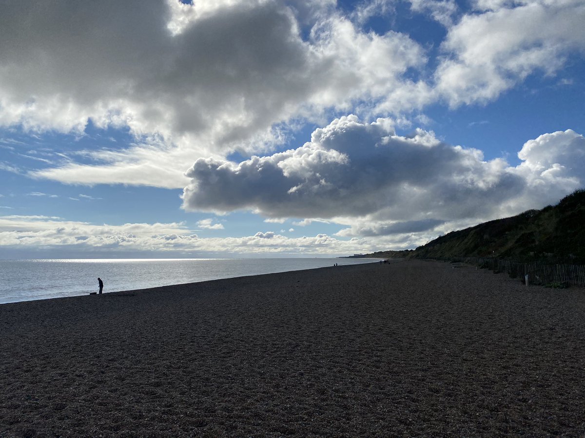 October -  @LordOtter paints some wonderful pictures - fully fledged member of the Shark vacuum crew- another jaunt to the beach- getting stuck into Argentinian wine