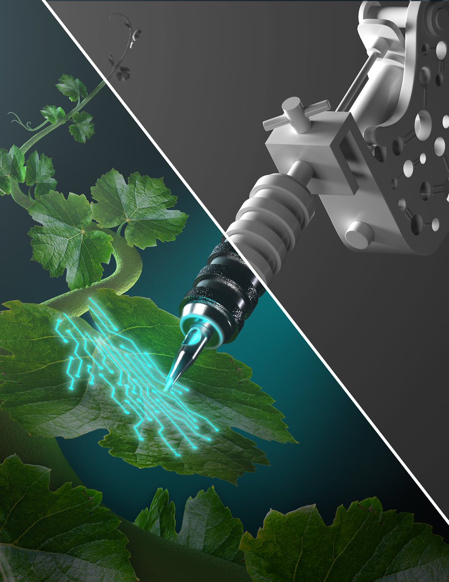A little sneak peek behind the scenes...🌱

#sciart #mscbmc #scientificart #scicomm  #medicalillustration #research #biomedicalscience #digitalart #autodesk #maya #3d #3dmodel #arnold #3dart #arnoldrender