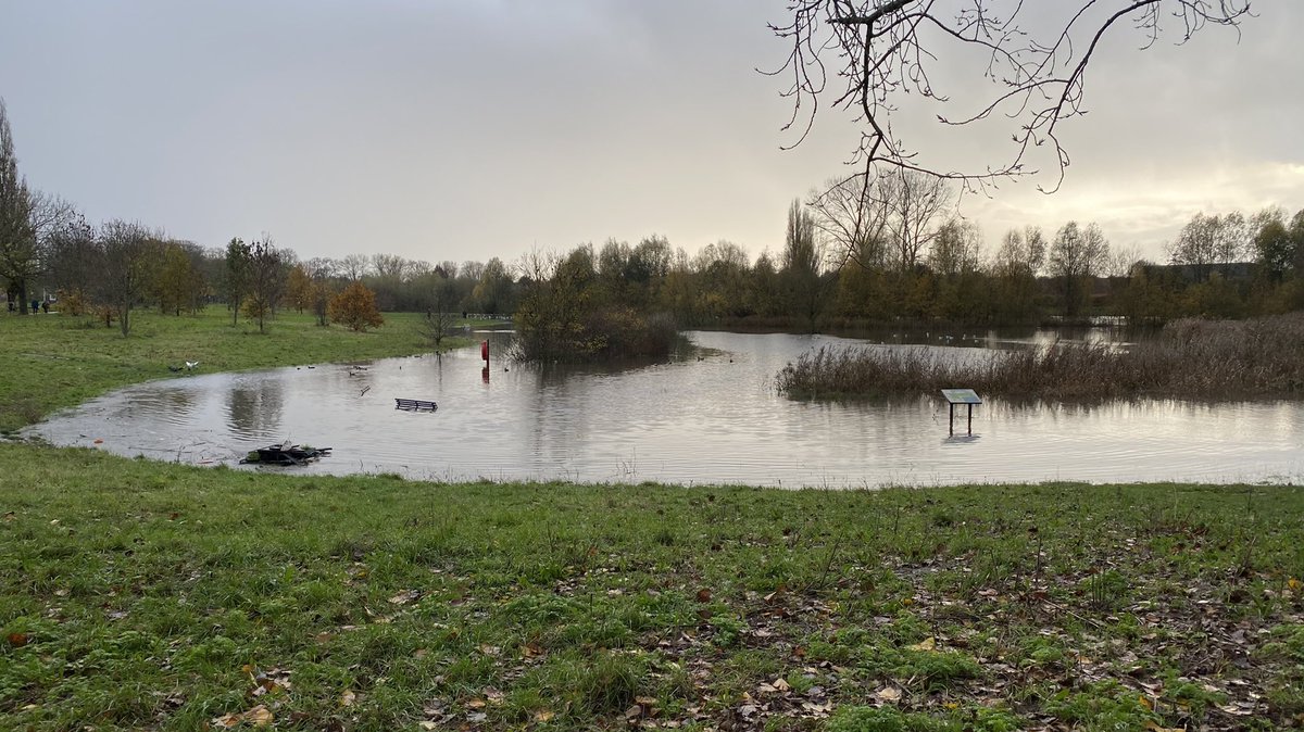 November - took a week off to declutter and decorate - the local park flooded- got up close with the swans - saw far too many Fleets