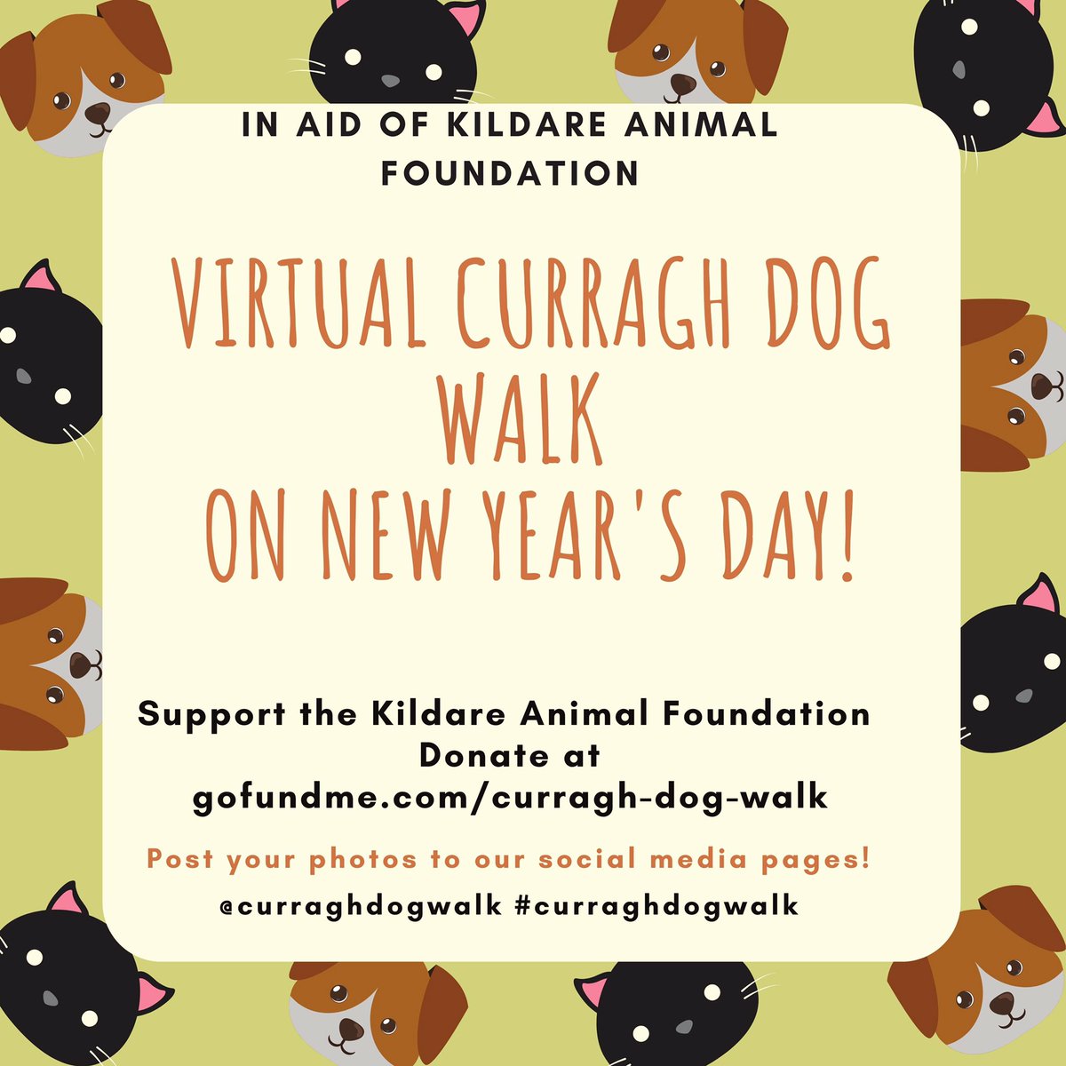 Curragh Dog Walk tweet media