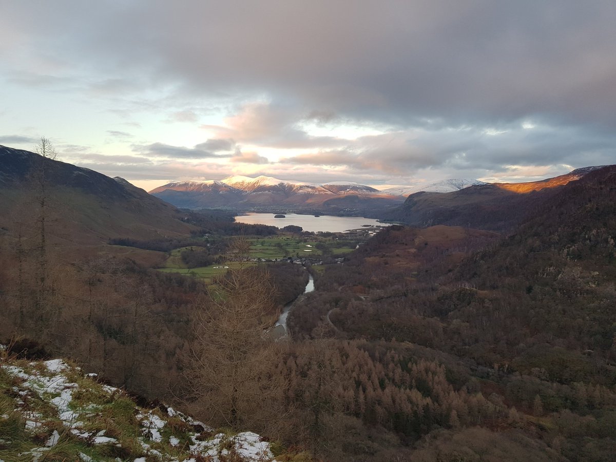 marknsfuoc's tweet photo. Echoing @lwhemmings sentiments my last #thicktrunktuesday contribution of 2020. Taken today at the end of climbing Castle Crag in the (always) outstanding Borrowdale and a tribute to the unique ash pollards. Happy 2021 to all. https://t.co/6N9fi3z9Xc