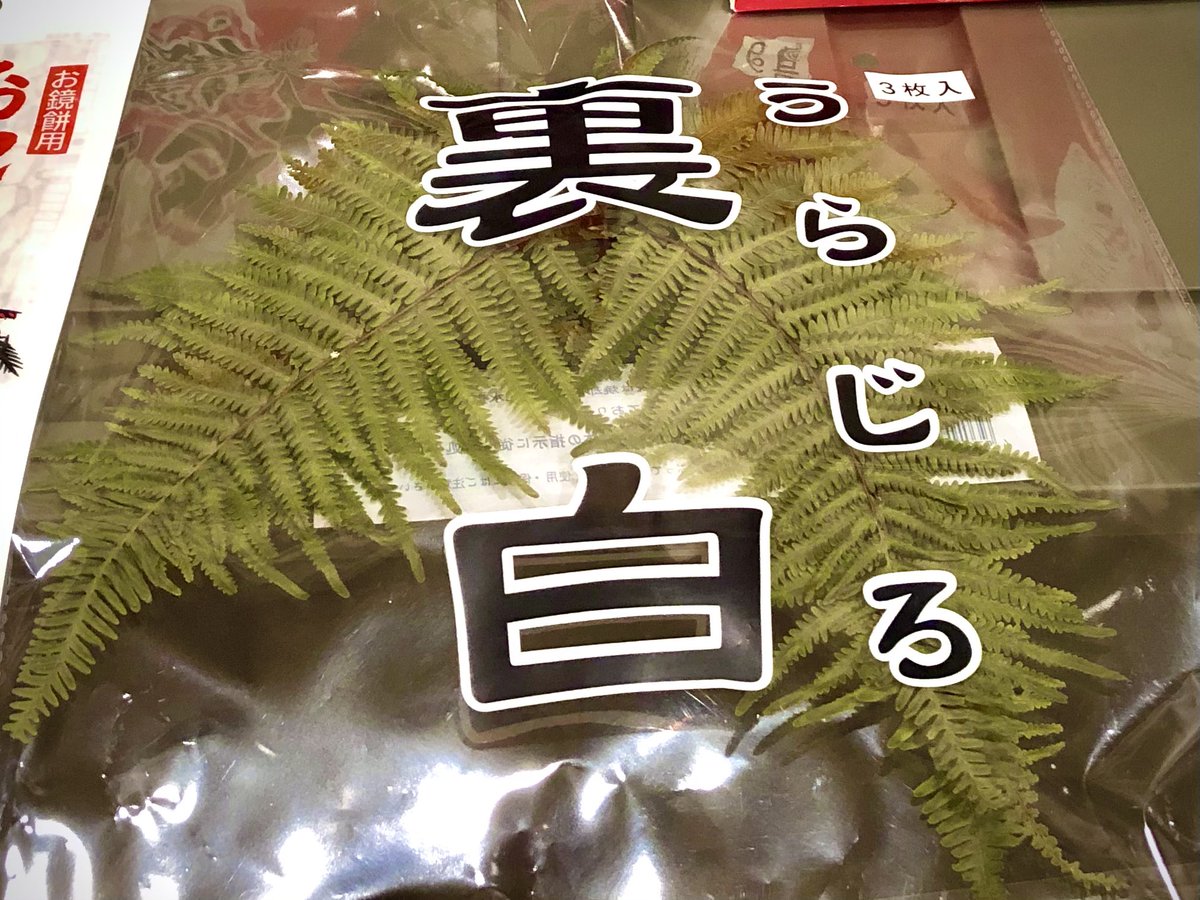 裏白 裏白