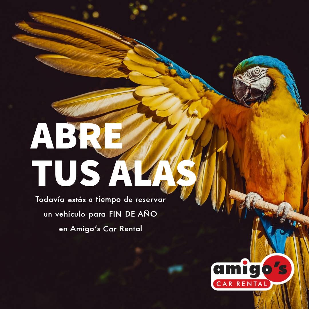 Todavía estás a tiempo de reservar un vehículo para FIN DE AÑO en Amigo's Car Rental. 

Recuerda que puedes comunicarte con nosotros a través del 📱 Whatsapp (0426) 5190482 agéndalo #Caracas #Maiquetía #Margarita #Maturín #Barcelona #Miami