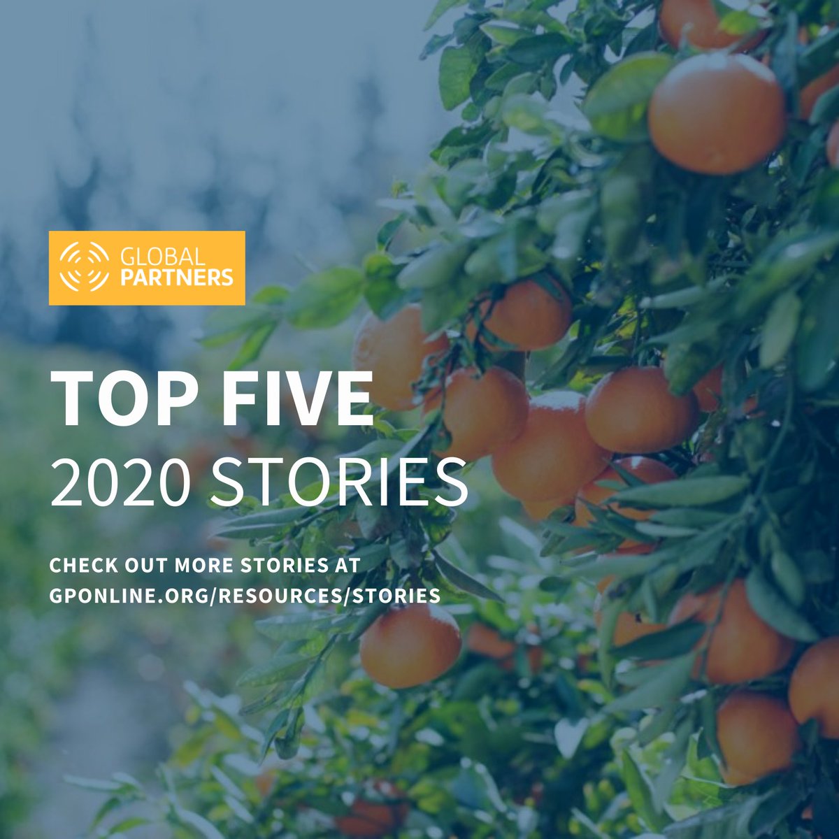 amplifymission's tweet photo. "I remember as a little girl that Daddy picked fruit. He'd leave before daylight, riding in the back of the truck to the groves, and then he'd ride back on top of the day's pick."

Read more: https://t.co/XAf5DqirdA https://t.co/4zdrU7Je6u
