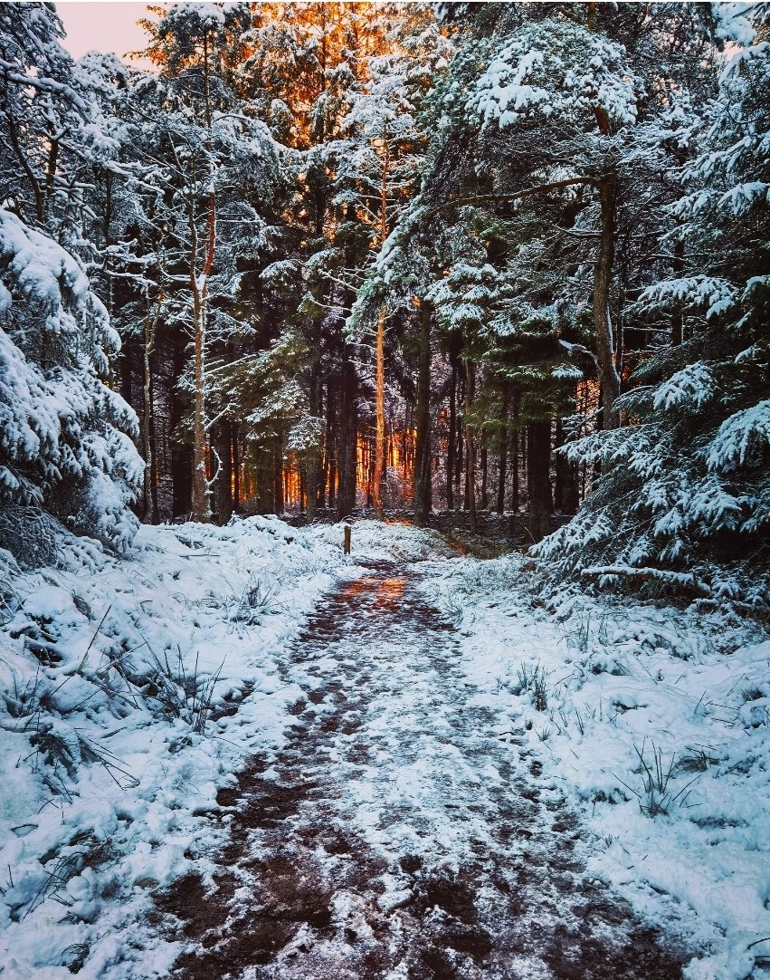 Fire-lit and frozen.