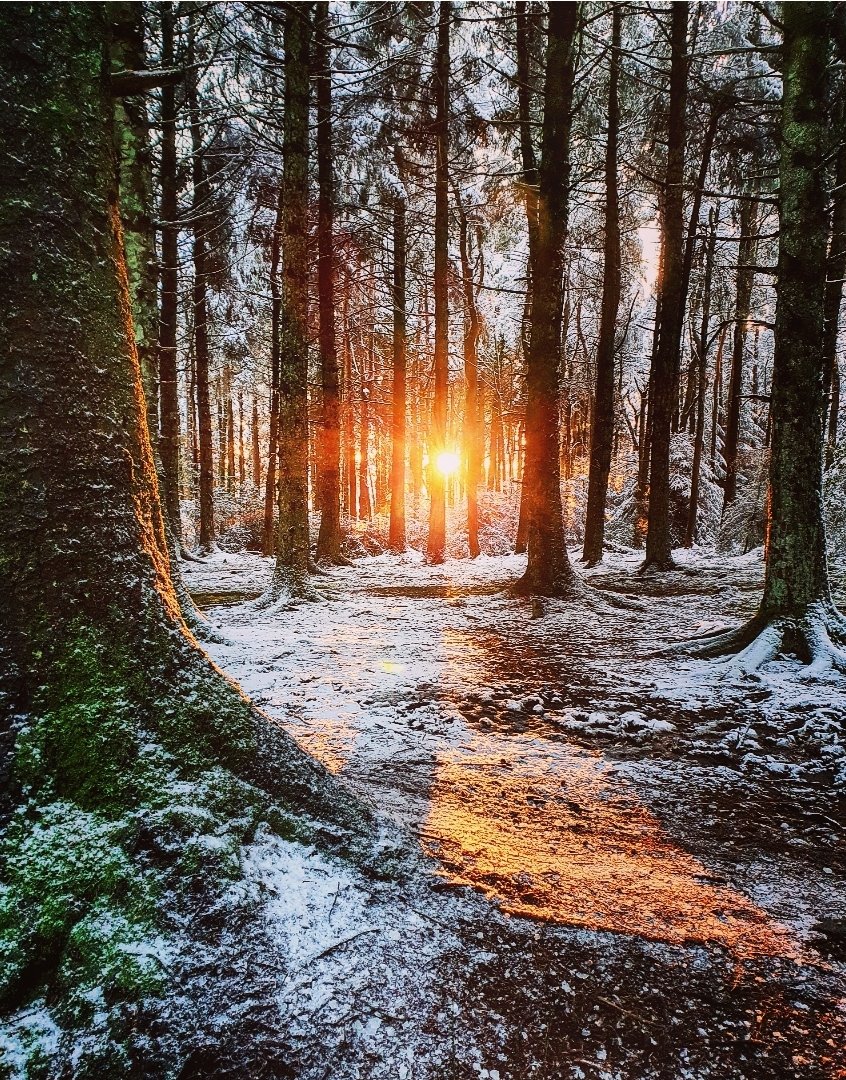 Fire-lit and frozen.