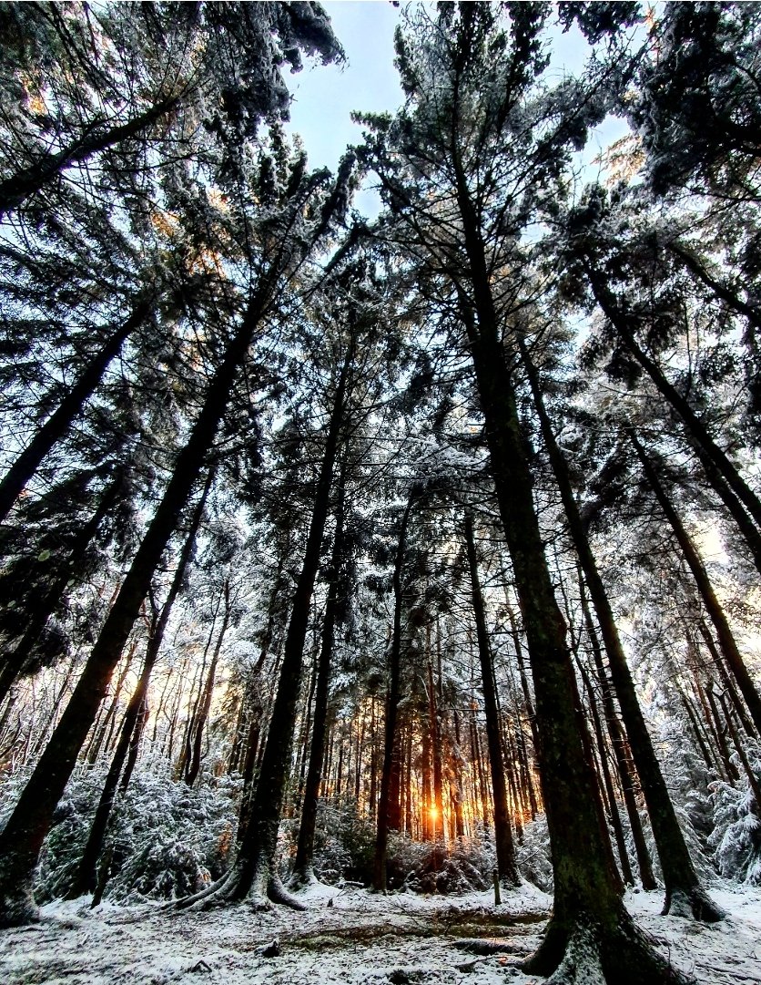 Fire-lit and frozen.