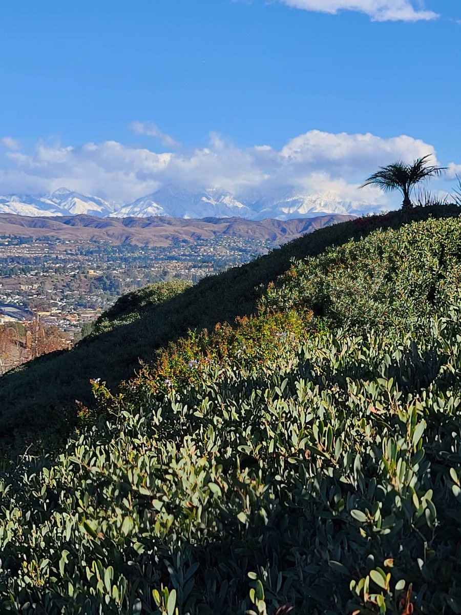 malstumd's tweet photo. Love seeing the snowcaps! #snowinsocal https://t.co/5Pilbvj9bo