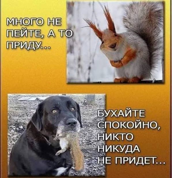 Людмила Сантеладзе (@miladze77) on Twitter photo 