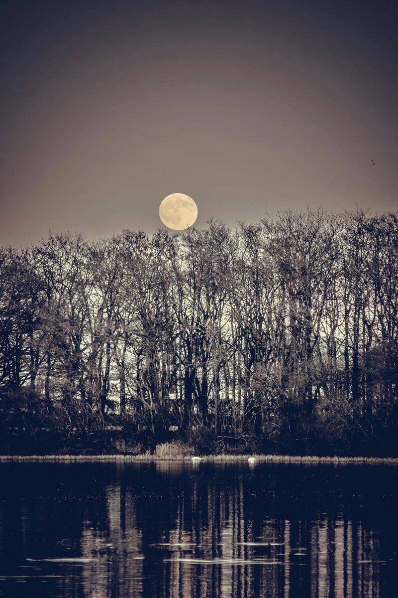 LochsideLIFT16's tweet photo. Sometimes we just need to take some time away, appreciate what we have and enjoy the things money cannot buy. #dumfriesandgalloway #fullmoon #lochs #nooneelsearound #covidsafe #MentalHealthMatters https://t.co/8eCR3KWZ3X
