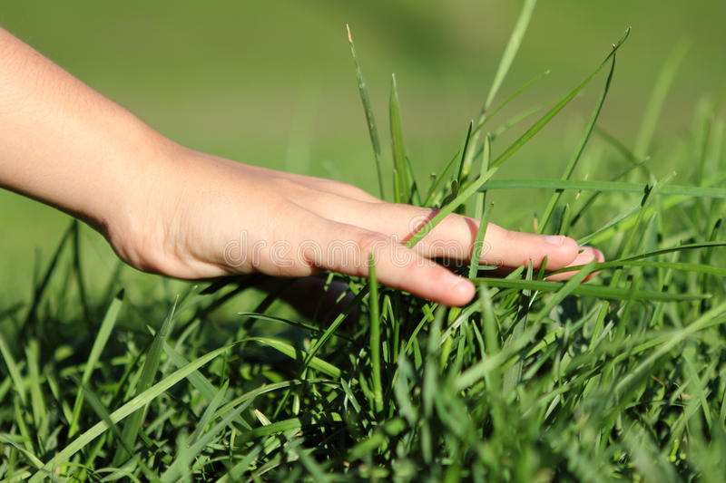 Трава в руке. Мем touch grass. Hand touching grass. Go touch some grass. Ухоженный газон.
