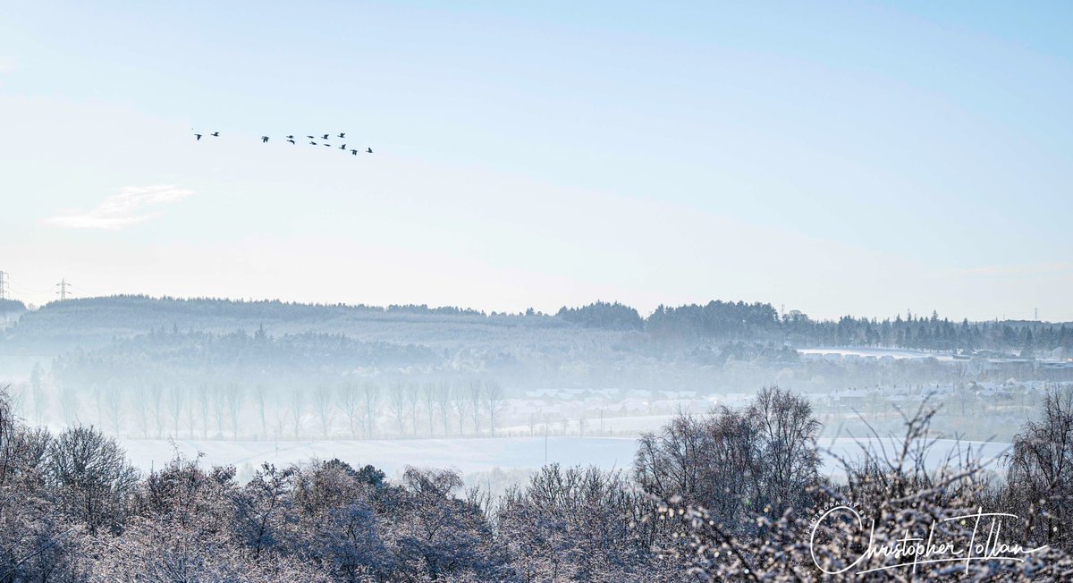 Due to lockdowns etc, its been a while since I shared any photos. 

Was great to get out locally today and managed to capture these shots at Dalzell Estate, Motherwell... it looks so scenic in the snow ❄️☃️
<a href="/VsitLanarkshire/">Visit Lanarkshire</a> <a href="/VisitScotland/">VisitScotland</a> <a href="/SeanBattyTV/">Sean Batty</a> <a href="/nlcpeople/">NorthLanCouncil</a>