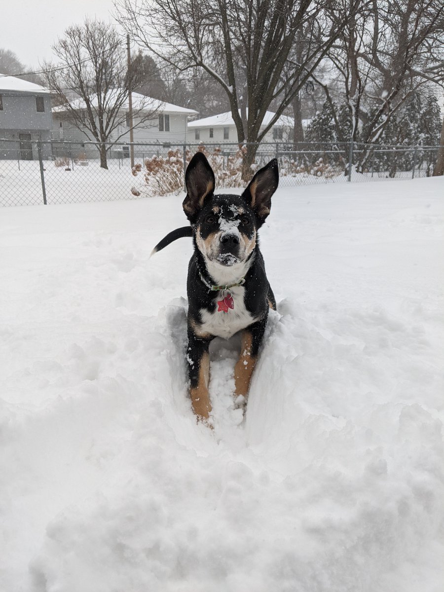 Reagan sure is having a blast in the snow!