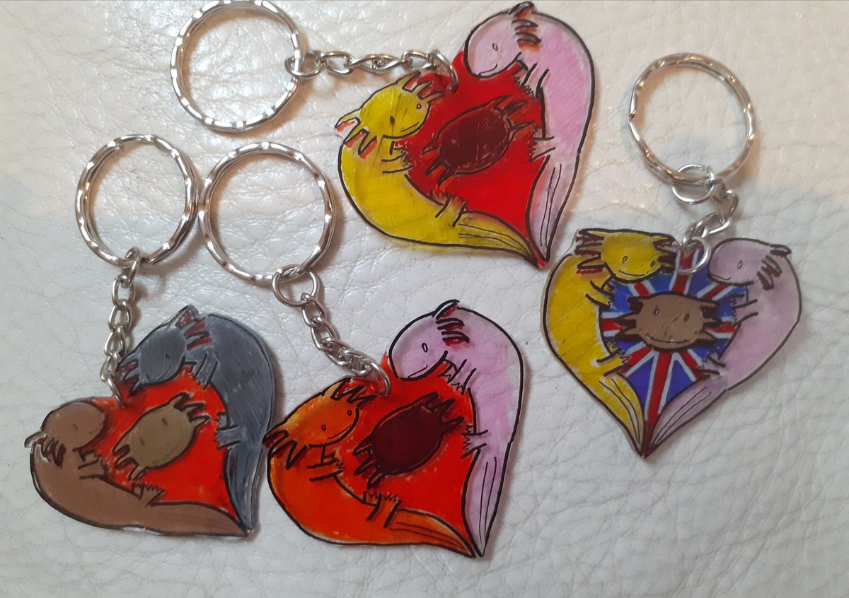 メキシコサンショウウオ