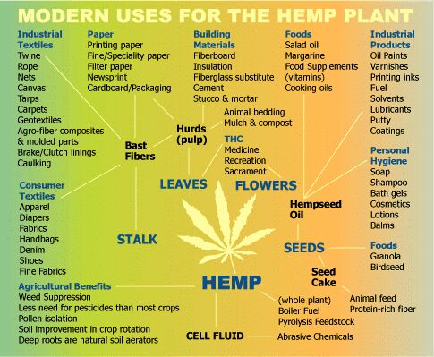 HempLively's tweet photo. The Benefits of Hemp. Trust Hemp Lively for all your Hemp needs!
#hemp #benefitsofhemp #hempflower https://t.co/bRY7naw8M1