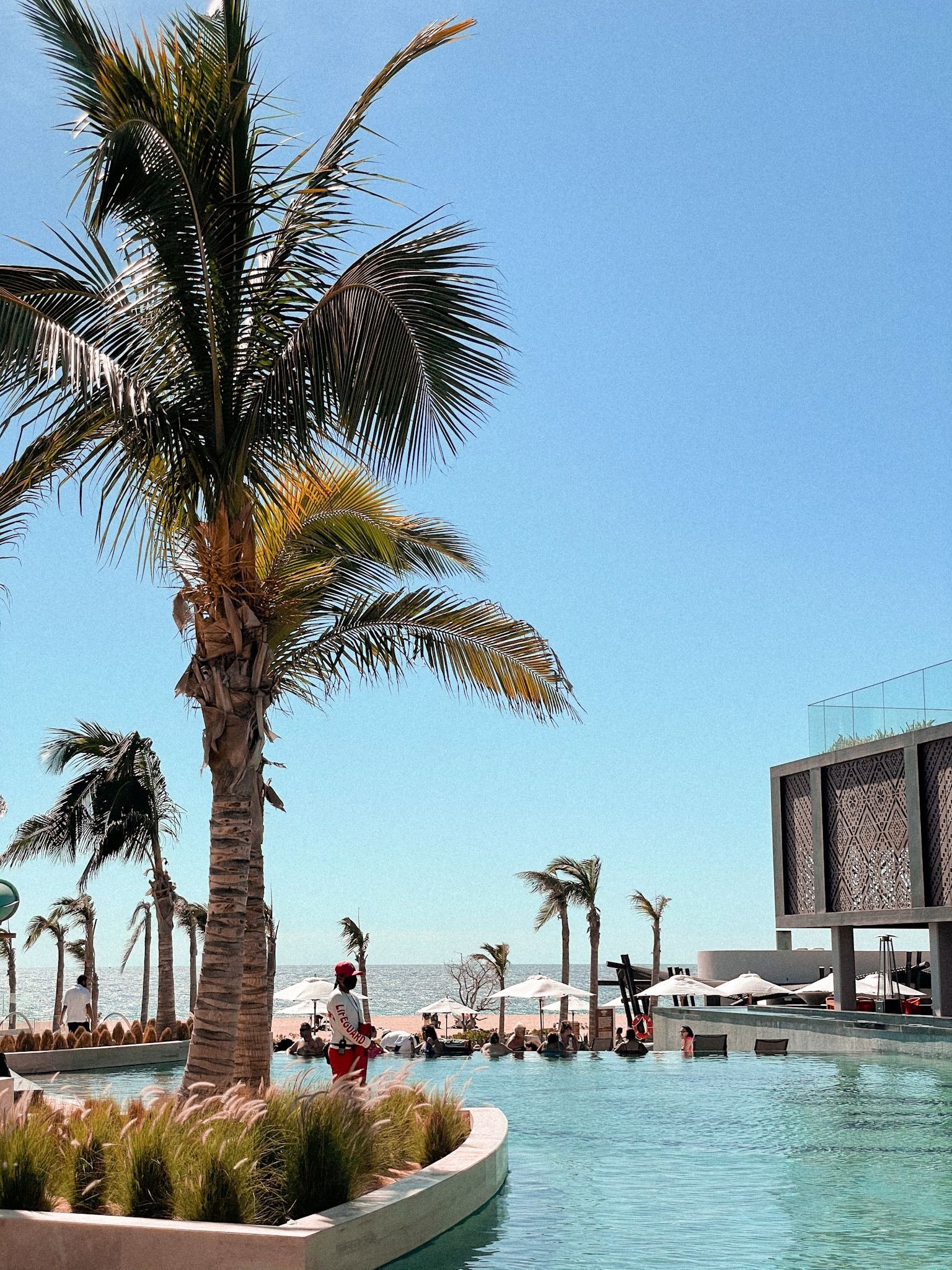 Solfest Los Cabos (SolfestLosCabos) / Twitter