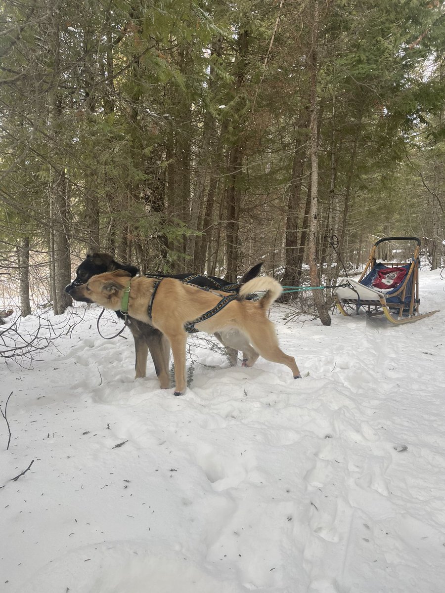 All I know is Journey really wanted Brooks to play with her, but he was all business