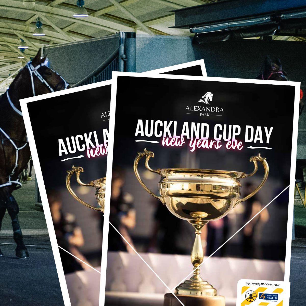 Heading to the Auckland Cup Day? 
Download a free copy of our race book with tips from guest selector Jason Teaz. 
buff.ly/37ZrhwW

#AlexandraParkNZ #HarnessRacing #AucklandCup
