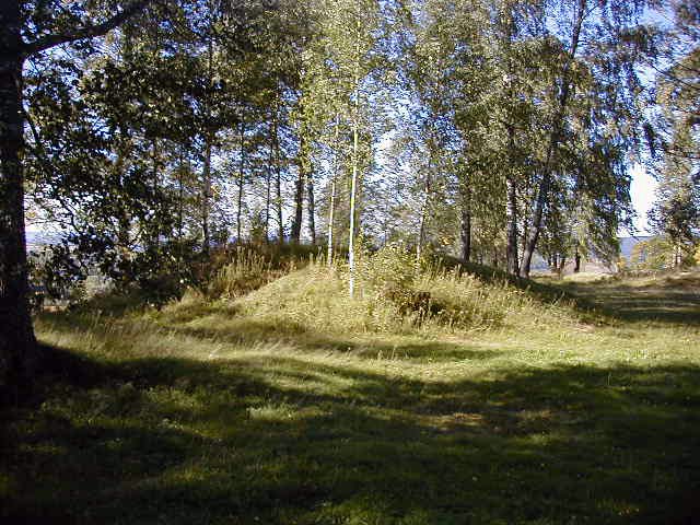 Ringerike has had a long association with kingship and chiefdom, which is what the ring itself has come to represent. The actual name refers to the Hringr tribe, whose name means "Ringer". The actual reason for why the tribe bore this name has long since been lost to time.