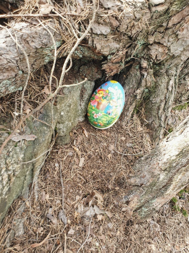 April 2020. Usually we have a big get-together in Easter. This time it was just us. I hid the easter eggs in the woods. I took some hasty shots to remember where I hid them. I can tell you now that a photo like *this* doesn't help much in a FOREST. 