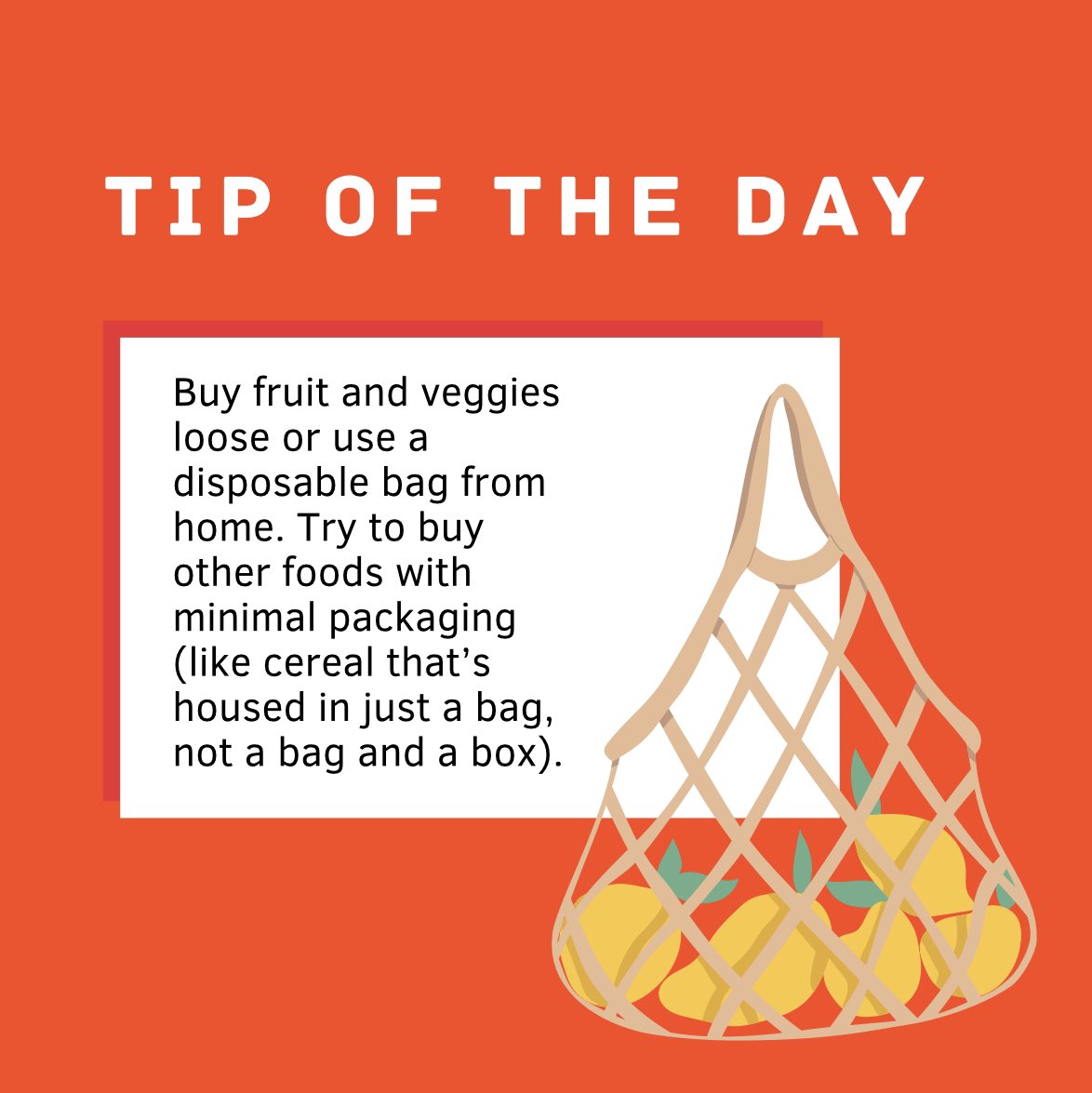 Climate NOW tweet media